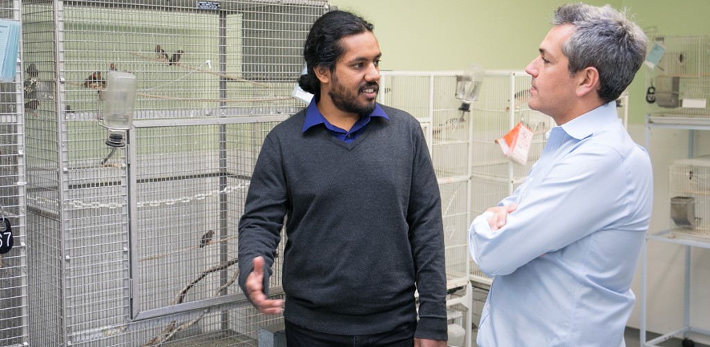 Vikram Gadagkar and Jesse Goldberg stand in a lab with several birds