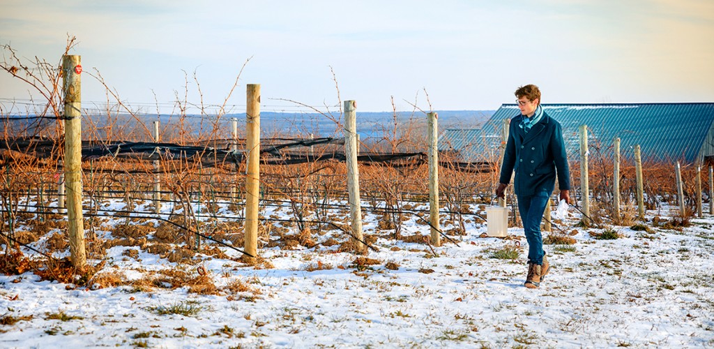 Al Kovaleski walking in wintery winery