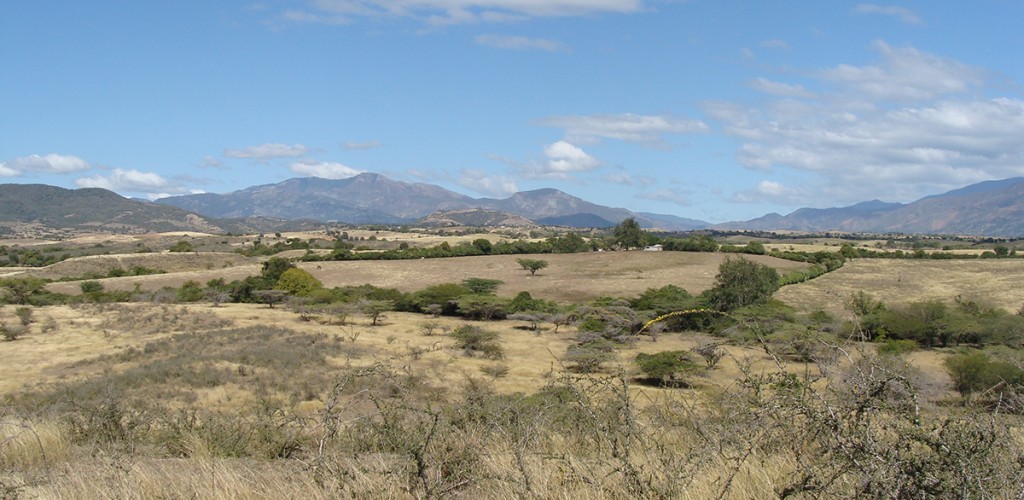 parched land with mountains in the background