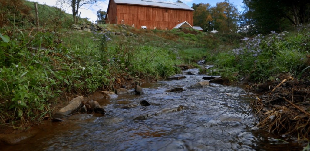 Stream near barn in the Catskill Mountains