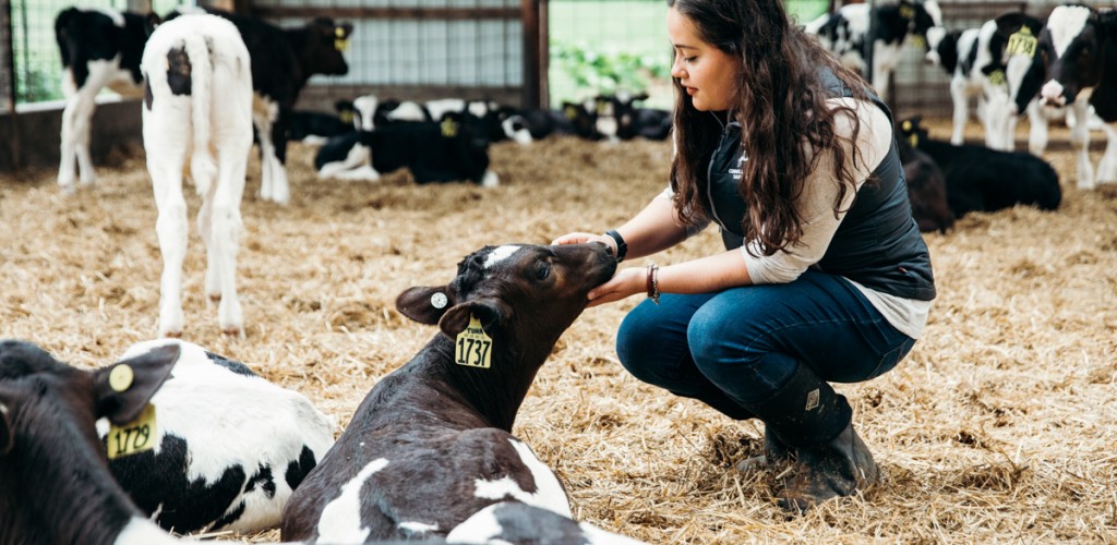 student holds calf head lovingly in her hands