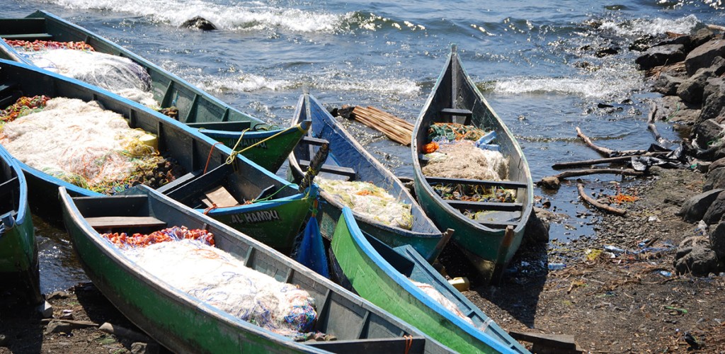 Canoes on shore filled with fishing nets