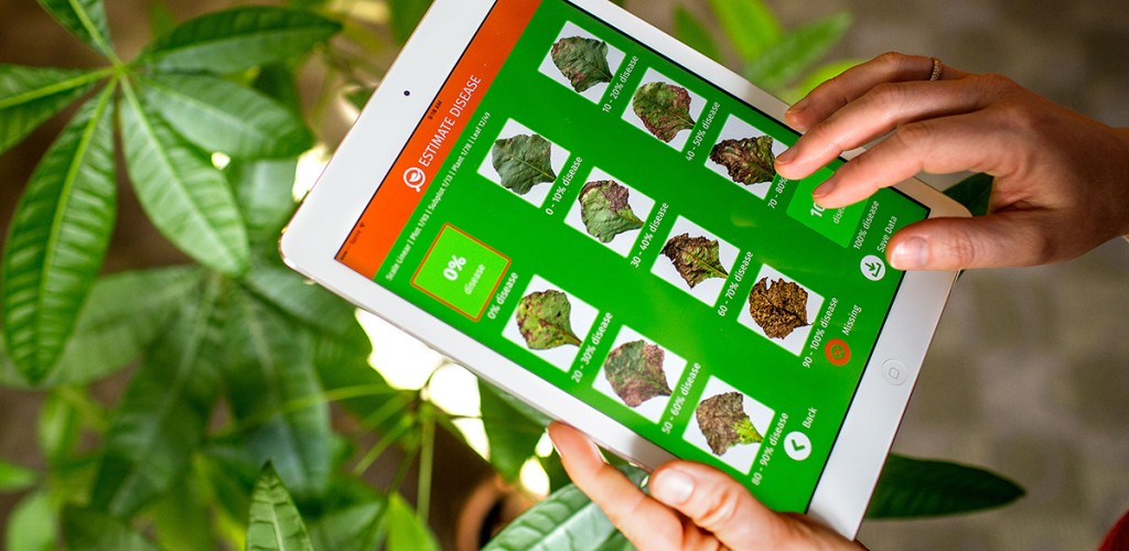 Person using Estimate app on tablet device
