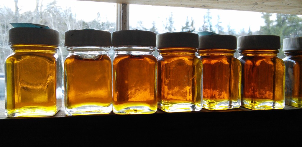 Bottles of Maple Syrup