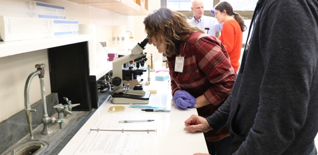 Patricia Brooks examines yeast under a microscope