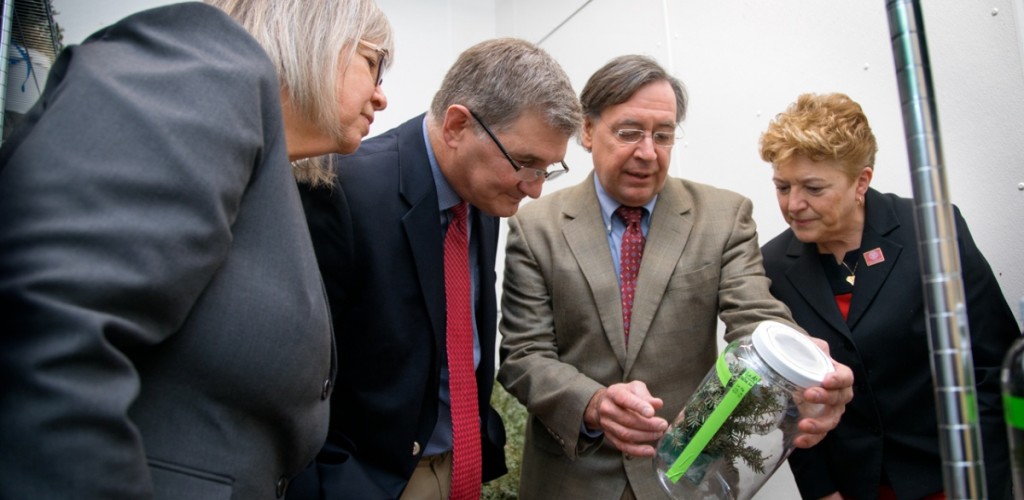 faculty and researchers look at a container with a tree in it