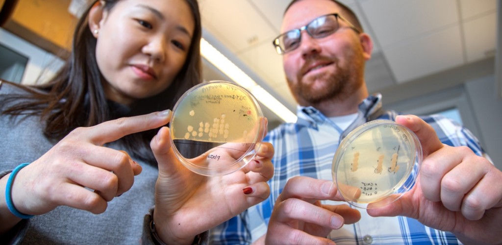 professor and student hold yeast strains in dishes