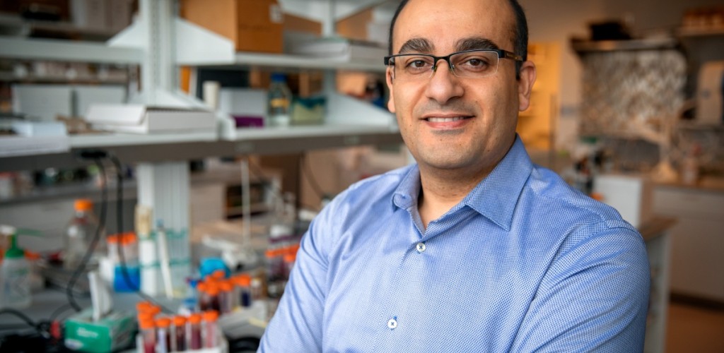 Alireza Abbaspourrad