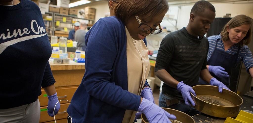 Students sieve soil in the Cornell Soil Health Lab