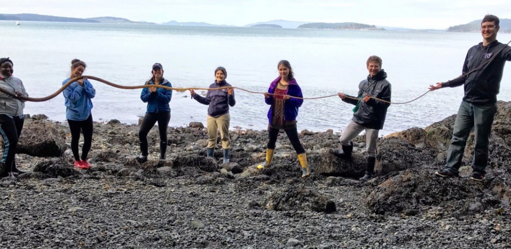 Students hold a piece of giant kelp