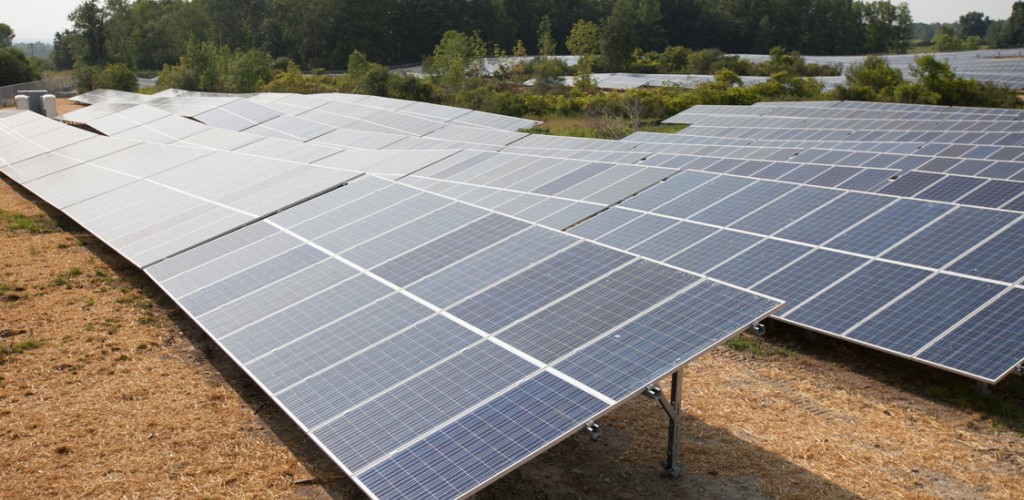 Two rows of black panels facing toward the sky