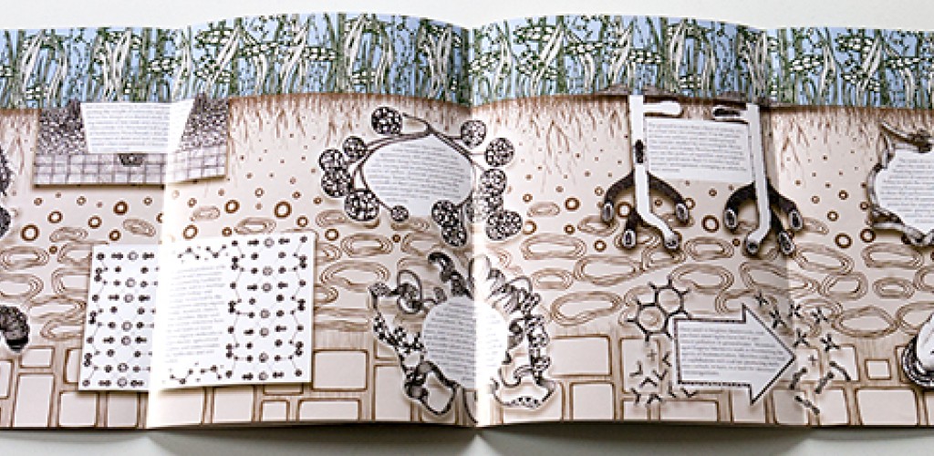 A graphic depicting all of the below images together on one page