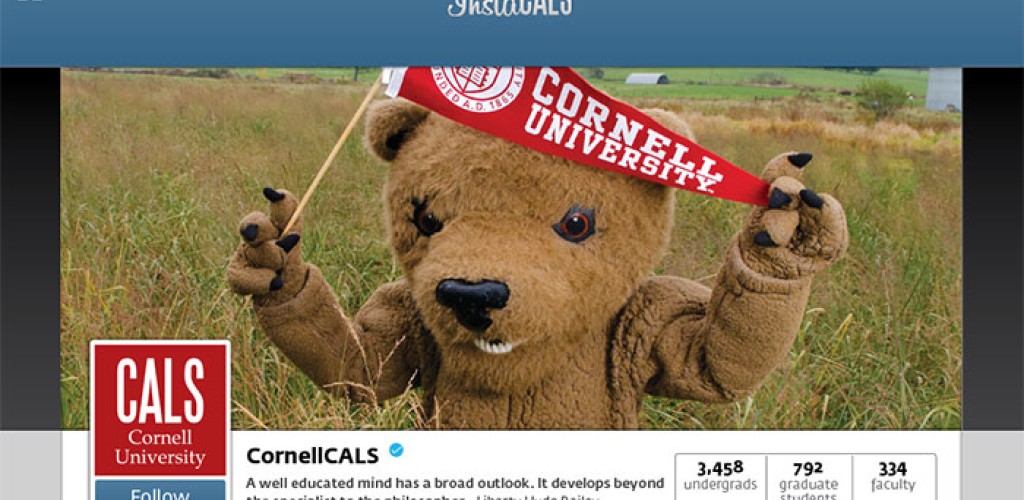 A screenshot of the CALS Instagram page