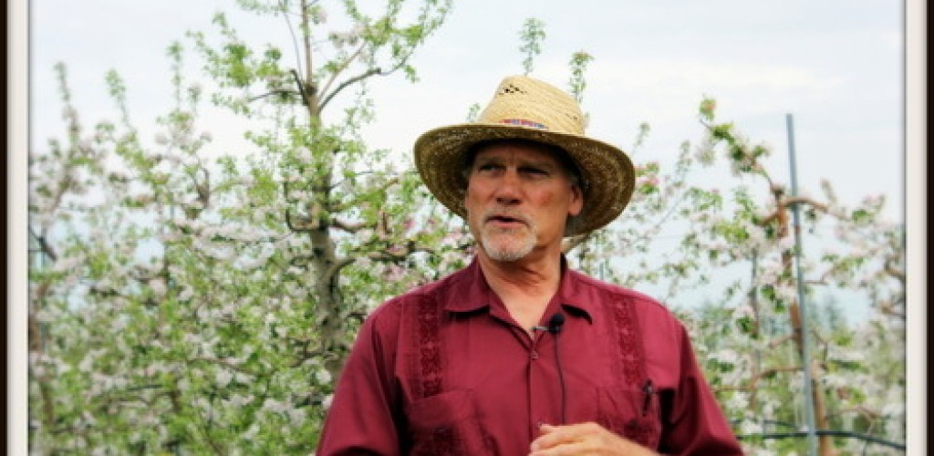 A man wears a straw hat and stands in an orchard