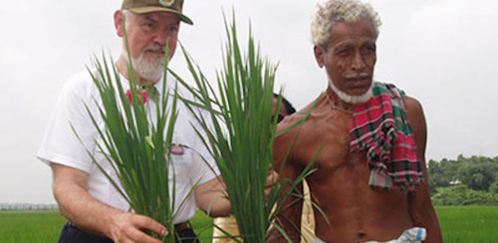 Two men hold plant roots in a field