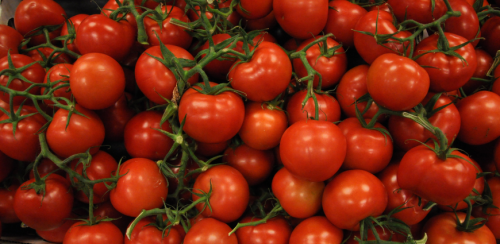 Tomatoes