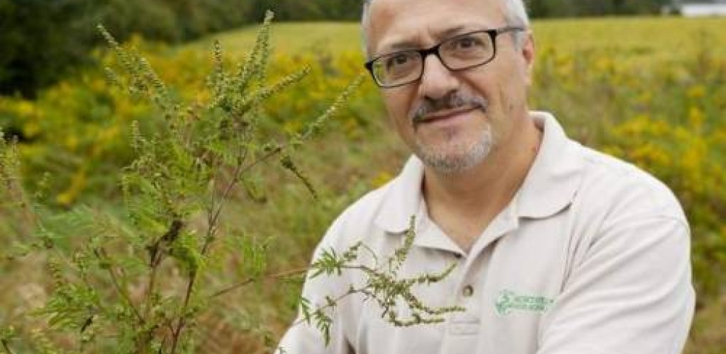 A man holds a plant in a field