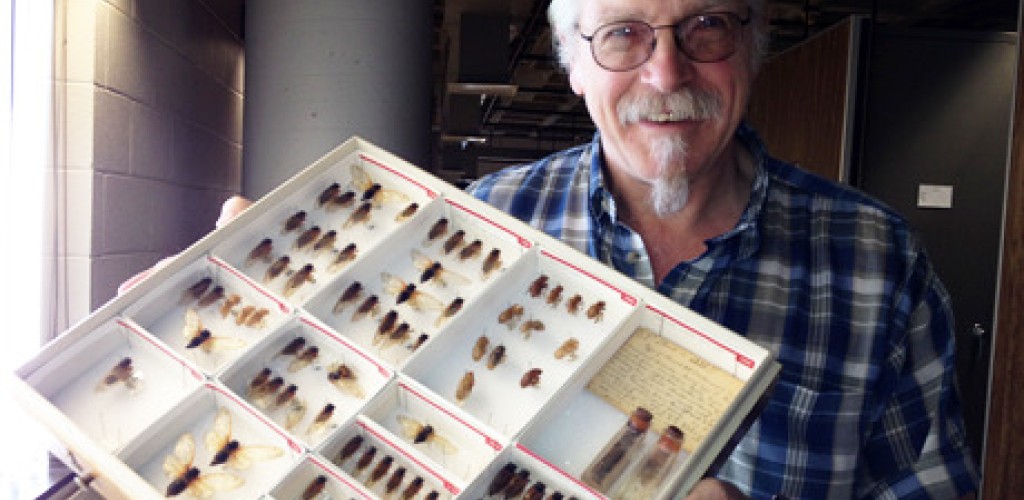A man holding a case of preserved bugs