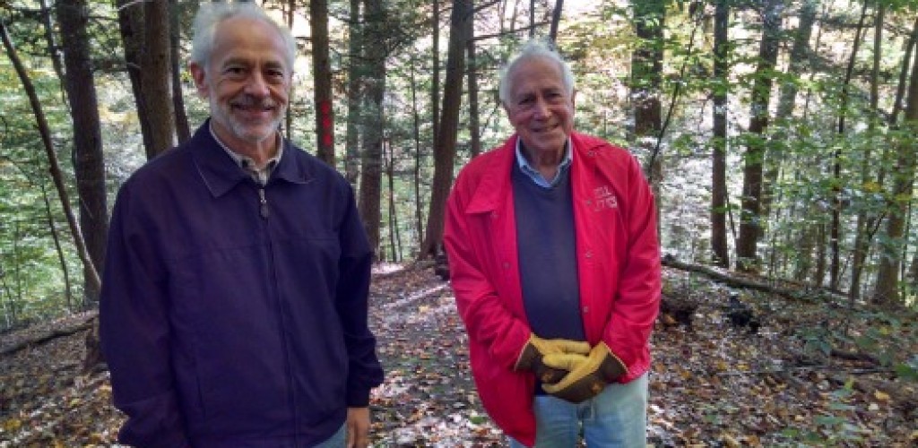 Two men hiking in the forest
