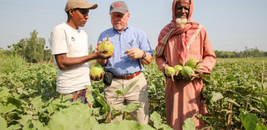Three men stand in a vegetable field