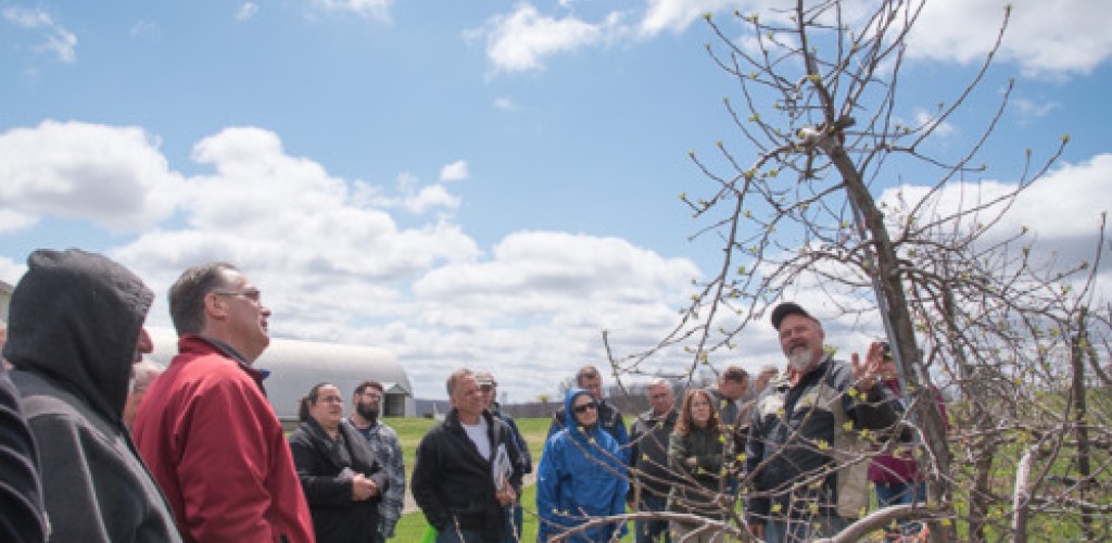 A group of people looking at a tree