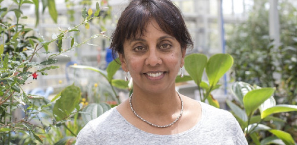 A woman stands in a greenhouse