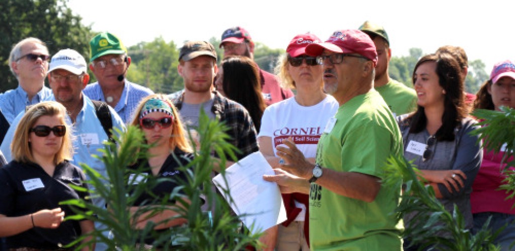 A group of people stand in a field