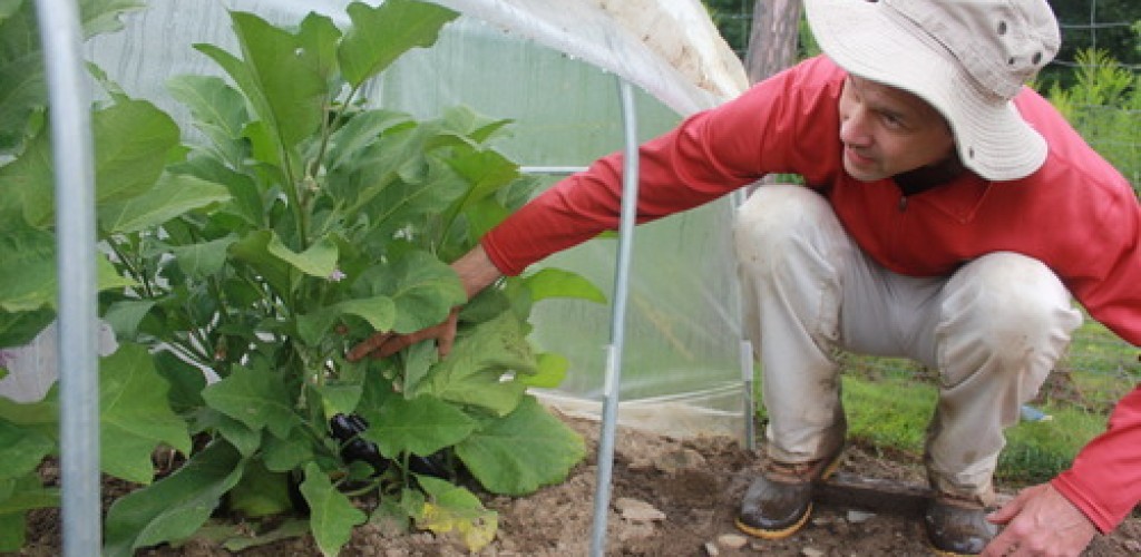A man gardening
