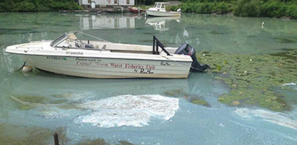 A boat sits on a lake filled with blue-green algae