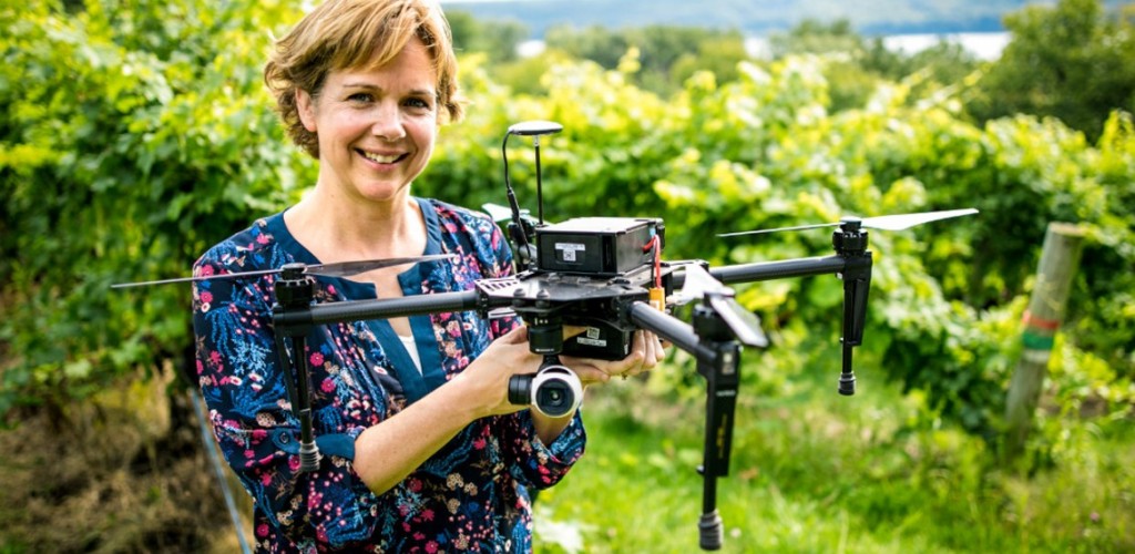 Woman stands with drone in middle of vineyard
