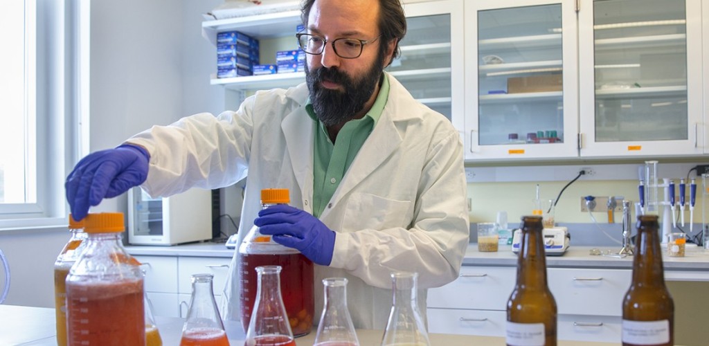 A man wearing a lab coat and blue gloves looks at red, orange and yellow-hued liquids in glass beakers