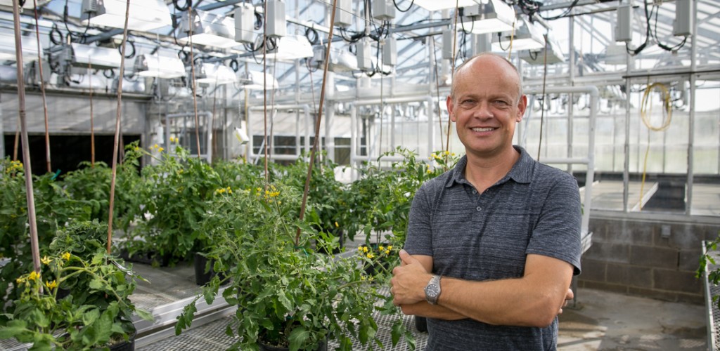 a bald man stands in a greenhouse