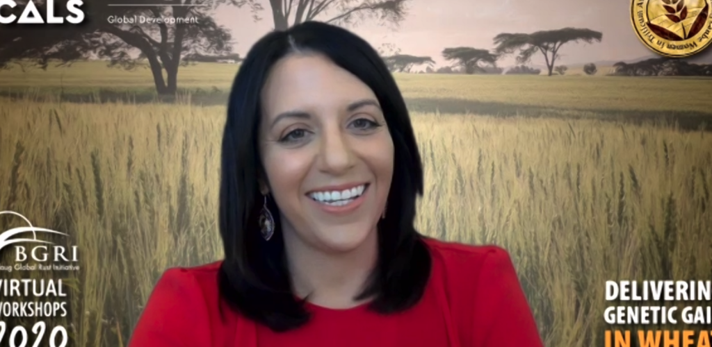 Professor in front of virtual image of a wheat field