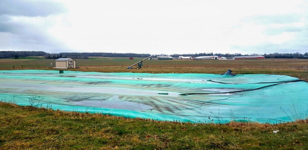 A farm with a big, green cover on the ground