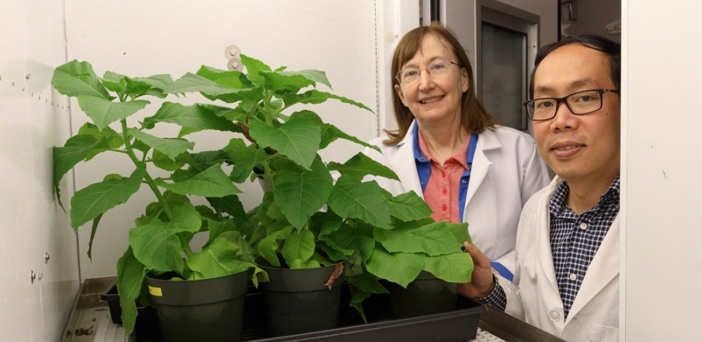 A man and woman standing next to green plants