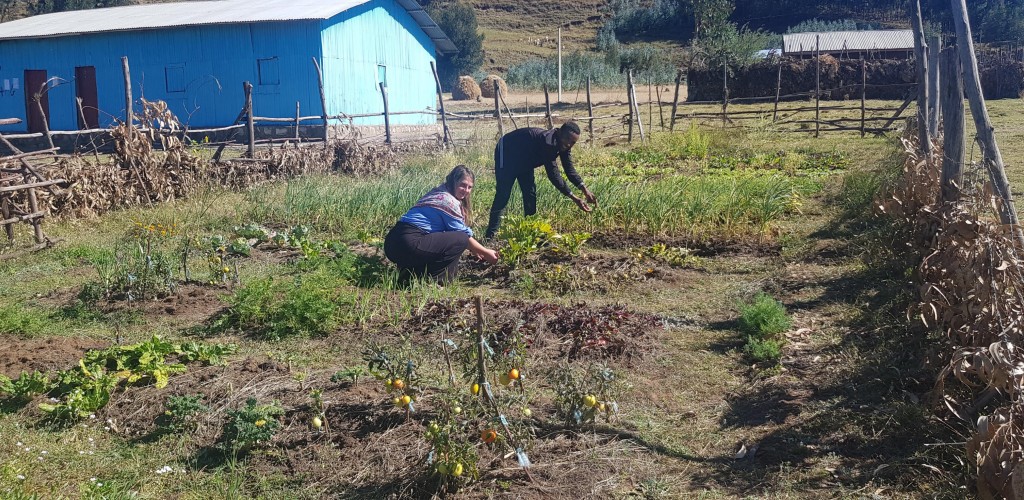 Woman works in field