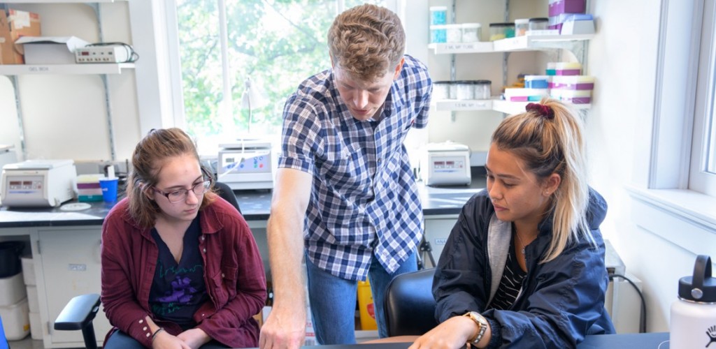 three people looking at objects on a table