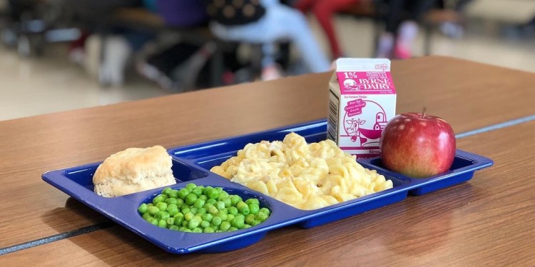 School Lunch tray with milk, peas, apple, pasta, roll