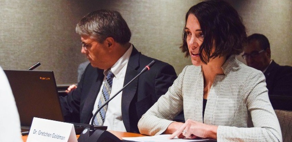 Gretchen Goldman '06 siting at a table and speaking