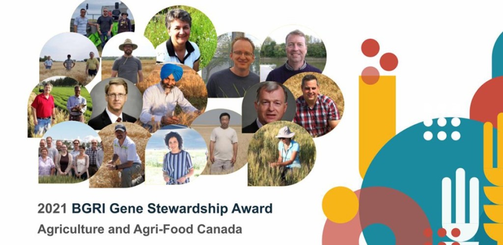 2021 Gene Stewardship Award Agriculture and Agri-Food Canada 