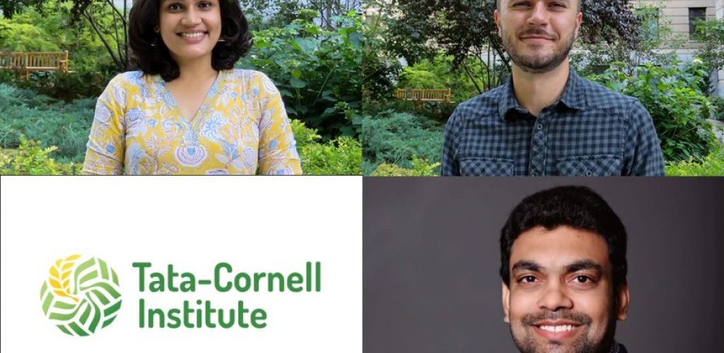 Quadrant with Tata Cornell Institute in bottom left and three individuals in the others