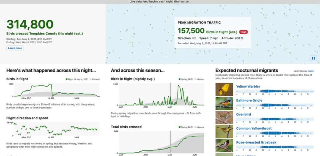 Screenshot of website