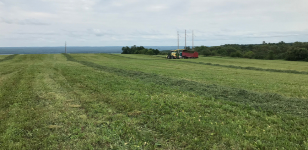 first cutting of a farm field
