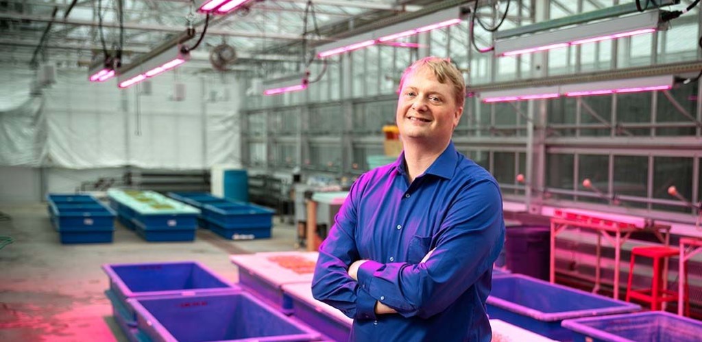 neil mattson in greenhouse