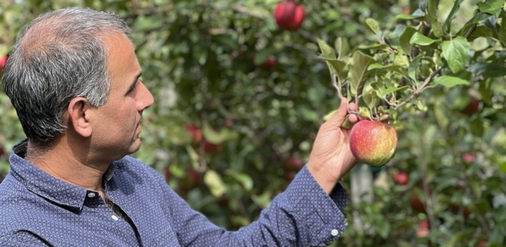Awais Khan holding and looking at an apple at the Cornell Orchards.