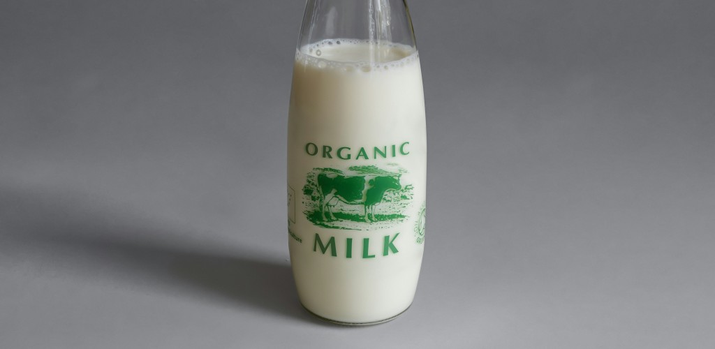 A bottle of milk on a grey/white background. The bottle reads "organic milk."
