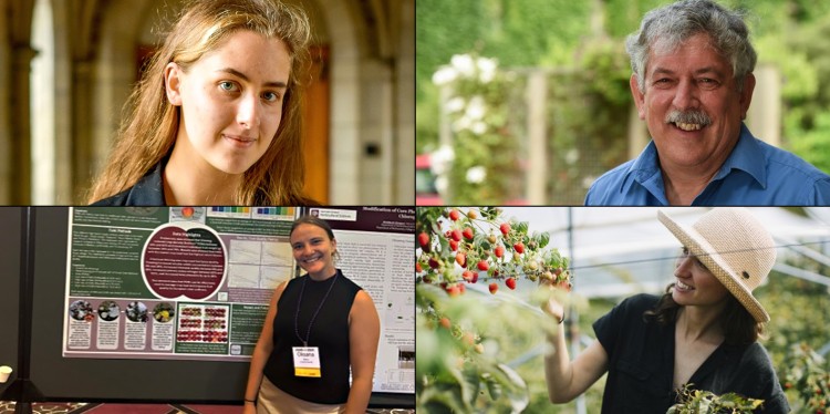 composite of winners