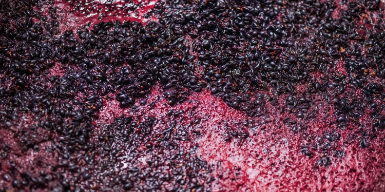 Grape Pomace