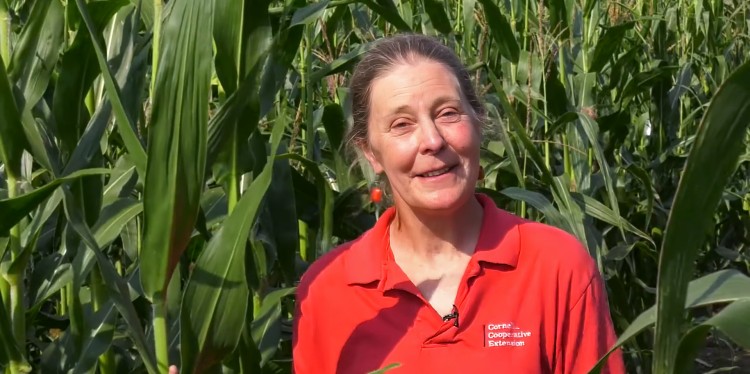Margaret Smith in corn field