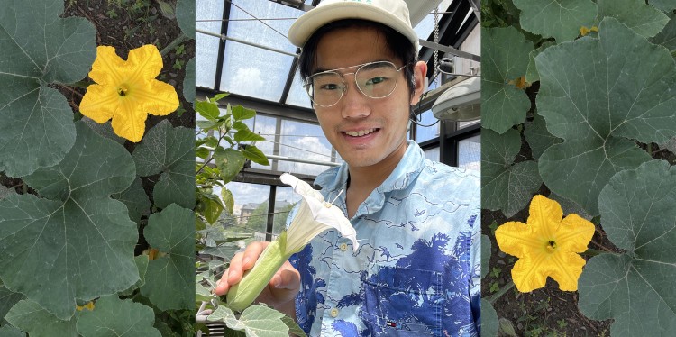 Jonathan Chai in a green house with datura and squash flowers